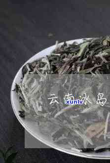 云南冰岛茶哪个好，比较云南冰岛茶：推荐与评价