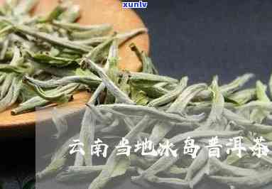 云南冰岛茶供应 *** -云南冰岛茶区