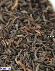 冰岛母树茶怎样保存-冰岛母树茶怎样保存