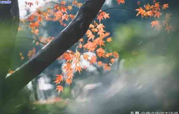 风雨夜归人：比喻在外漂泊、历经艰辛的人。下一句？描写这类人的诗词有哪些？同时展示相关翡翠图片。