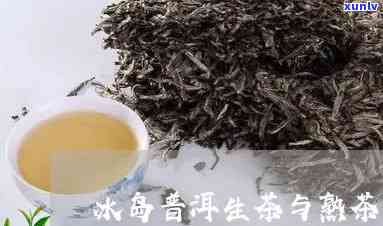 冰岛生茶还是熟茶，探讨冰岛生茶与熟茶的差异，哪一种更适合你？