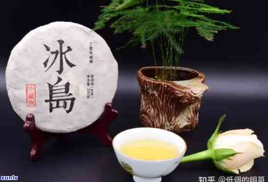 冰岛茶喝完口腔清凉正常吗，探讨冰岛茶的口感：喝完后为何感觉口腔清凉？