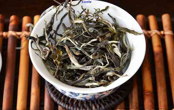 冰岛老寨单株茶介绍-500年冰岛老寨单株茶的价格