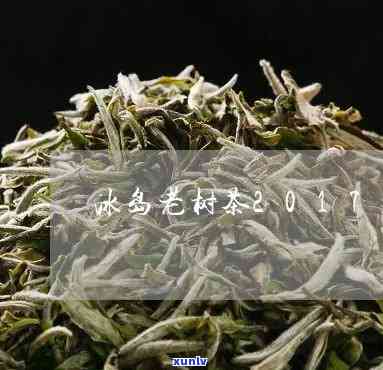 冰岛老树茶哪个-冰岛老树茶哪个喝