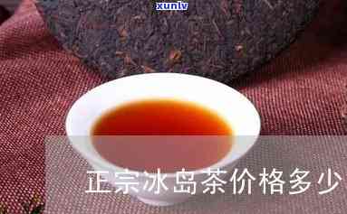 正宗冰岛茶价格多少-正宗冰岛茶价格多少钱