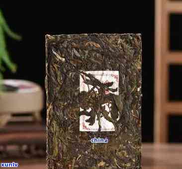 冰岛茶砖属于什么茶种，探究冰岛茶砖的茶种归属