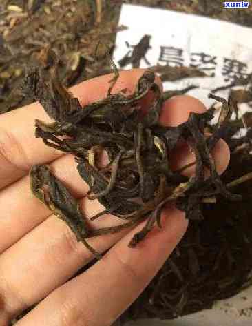 冰岛茶化石400克-冰岛茶化石400克多少钱