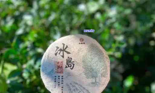 冰岛木茶是古树茶吗，探究冰岛木茶的身世：它是否属于古树茶？