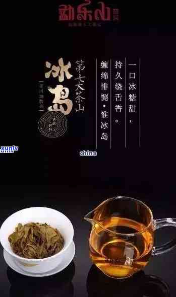 冰岛茶转化过程：味道为何会变淡？后期变化解析