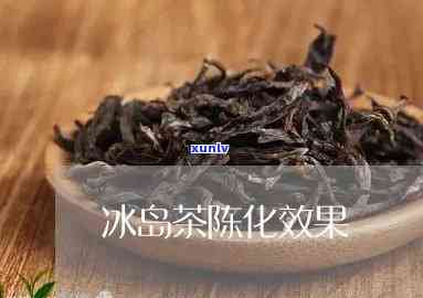 冰岛茶转化过程味道-冰岛茶转化过程味道变化