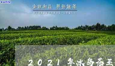 2021年冰岛茶王拍出价格，2021年冰岛茶王以高价成交，刷新茶叶拍卖录！-今年冰岛茶王拍出价格