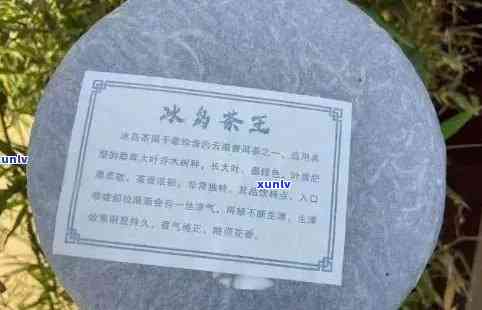 冰岛古树茶王2021年价格表及图片，对比2020年、2014、2016年价格，一公斤售价