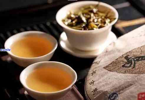 冰岛茶是发酵茶吗，解析：冰岛茶，非发酵茶！