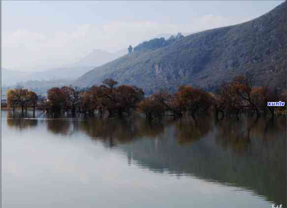 鹤庆黄龙潭照片大全：真实高清图片欣赏与旅游景点介绍