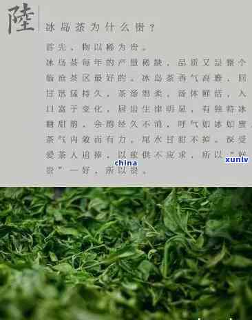 冰岛茶属于什么绿茶类？详解其种类与分类