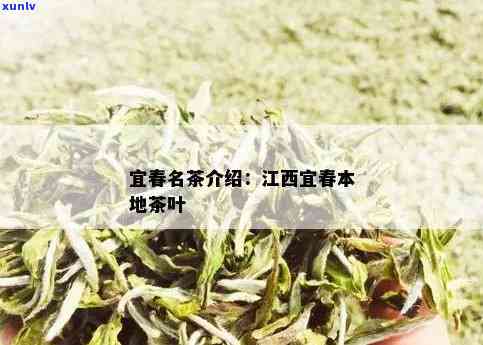 江西宜春产什么茶叶最多，揭秘江西宜春：哪些茶叶产量最丰富？