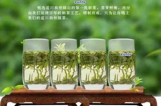 江西宜春产什么茶叶品种，探寻江西宜春的茶文化：特色茶叶品种介绍