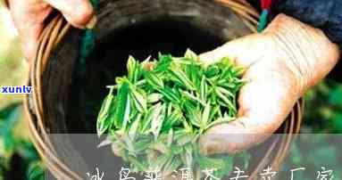 山西冰岛茶批发厂家 *** ，【山西冰岛茶批发厂家 *** 】最新联系方式，一手货源供应！