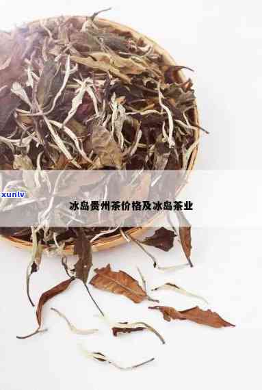 姆斯的冰岛茶价格-姆斯茶叶