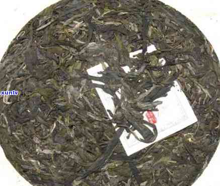 冰岛古树圆茶2009，探索千年历：品鉴冰岛古树圆茶2009的独特韵味