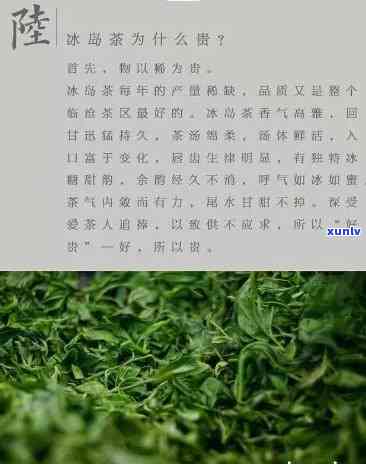 冰岛茶：揭示其好处与可能的风险