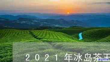 2021冰岛茶王树，揭晓！2021年冰岛茶王树评选结果出炉