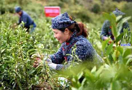 像玉一样的绿色石头叫什么，探寻美石世界：像玉一般的绿色石头的名称与特性