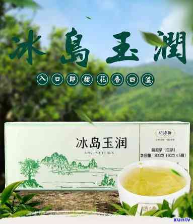 冰岛茶王精致礼品装-冰岛茶王2020