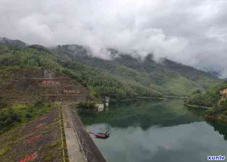 勐海大茶厂冰岛茶-勐海大茶厂冰岛价格