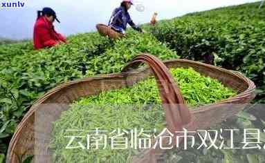 双江拉祜族冰岛散茶-双江拉祜族茶文化