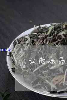 云南冰岛茶哪个好，推荐：云南冰岛茶哪家？