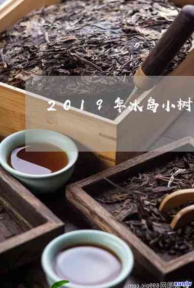 150年冰岛小树茶-冰岛小树茶价格