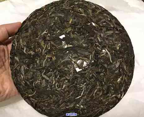 150年冰岛小树茶-冰岛小树茶价格