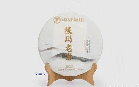 冰岛老寨生茶价格，探寻冰岛老寨生茶的价格：一次深度解析