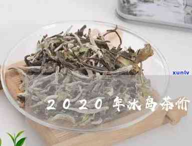 今年冰岛茶春茶价格-2020年冰岛春茶价格