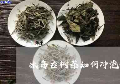 冰岛老树茶泡茶 *** -冰岛老树茶泡茶 *** 视频