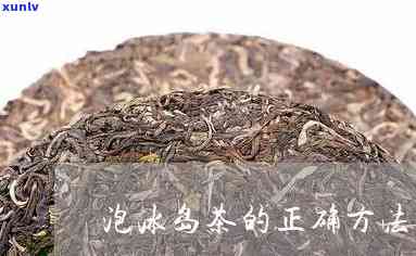 冰岛老树茶泡茶 *** -冰岛老树茶泡茶 *** 视频