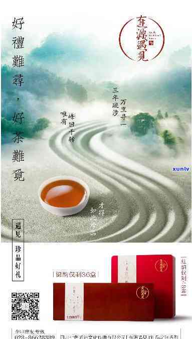 遇见好茶官网，探索优质茶叶的极致享受：遇见好茶官网