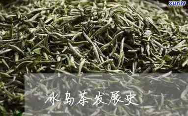 冰岛茶属于怎么发酵-冰岛茶属于怎么发酵的茶