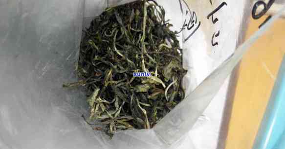 冰岛古树茶2019价格行情，探究2019年冰岛古树茶的市场价格走势