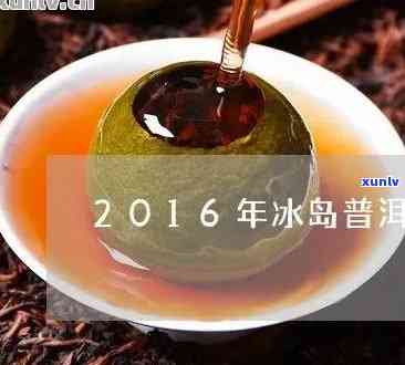 2016年冰岛古树生茶价格全解析：多少钱？口感如何？