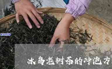 冰岛老树茶 *** 视频-冰岛老树茶 *** 视频教程