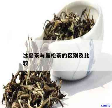 曼松贡茶对比冰岛茶-曼松贡茶对比冰岛茶哪个好