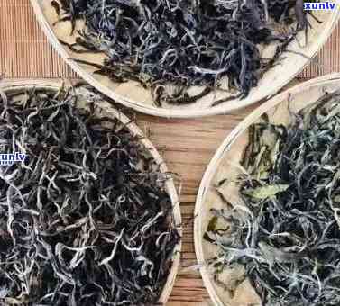 昔归茶与冰岛茶：价格比较