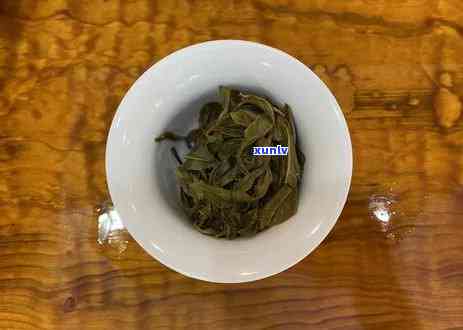 冰岛寨的茶是什么茶-冰岛寨的茶是什么茶叶