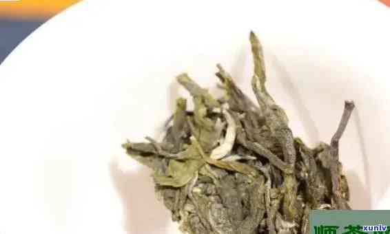 冰岛古树茶生茶冲泡-冰岛古树茶生茶冲泡 *** 