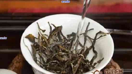 冰岛古树茶生茶冲泡-冰岛古树茶生茶冲泡 *** 