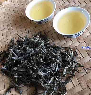 冰岛古树茶生茶冲泡-冰岛古树茶生茶冲泡 *** 