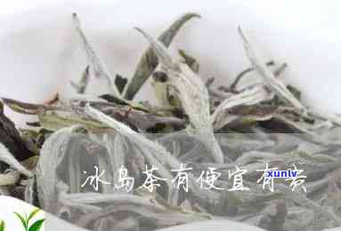 冰岛茶最贵的是什么-冰岛茶最贵的是什么茶