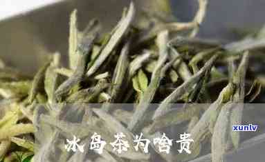 冰岛茶最贵的是什么-冰岛茶最贵的是什么茶